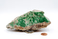 Lucin Variscite (520g)