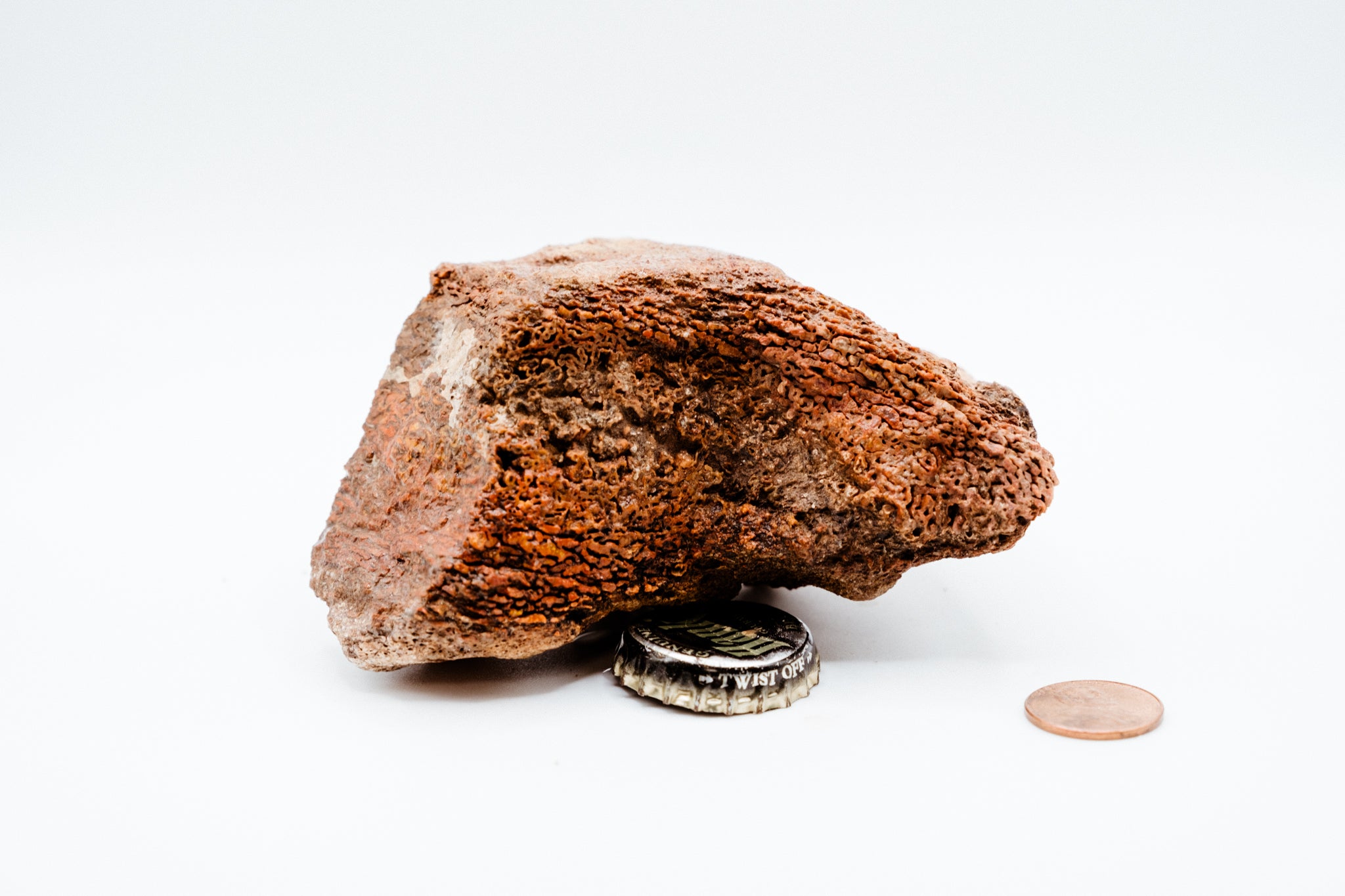 Red, Yellow & White Dinosaur Bone (348g)