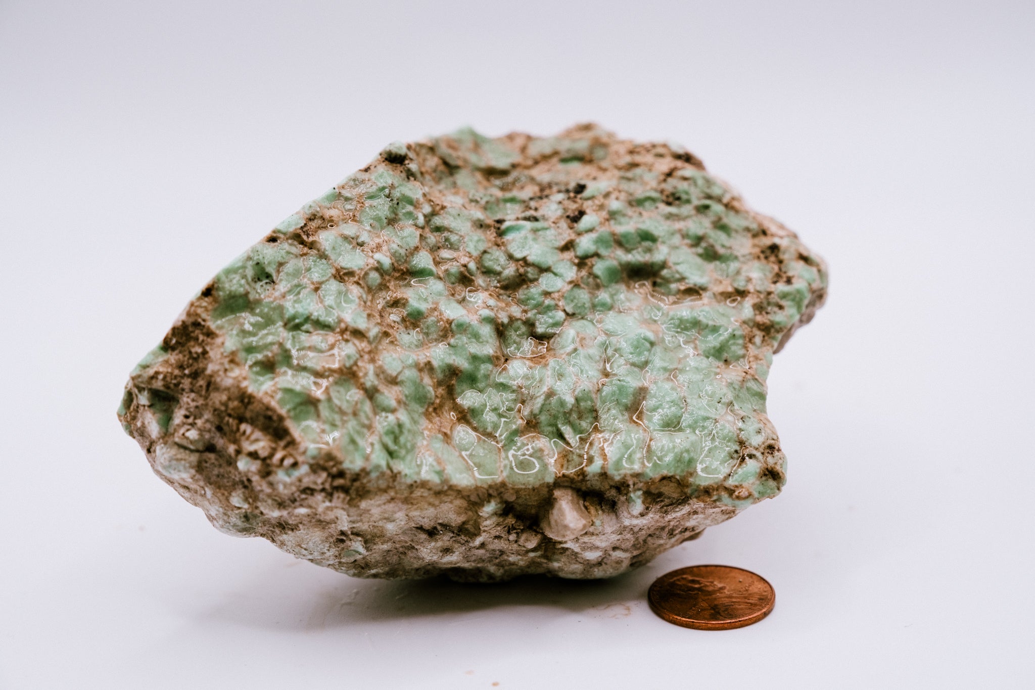 Lucin Variscite (356g)