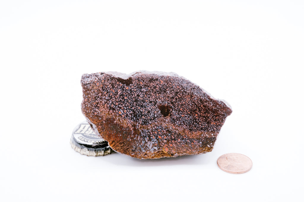 Pink, Blue & Red Dinosaur Bone (238g)