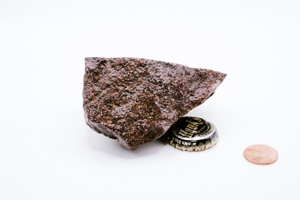 Pink, Blue & Red Dinosaur Bone (238g)