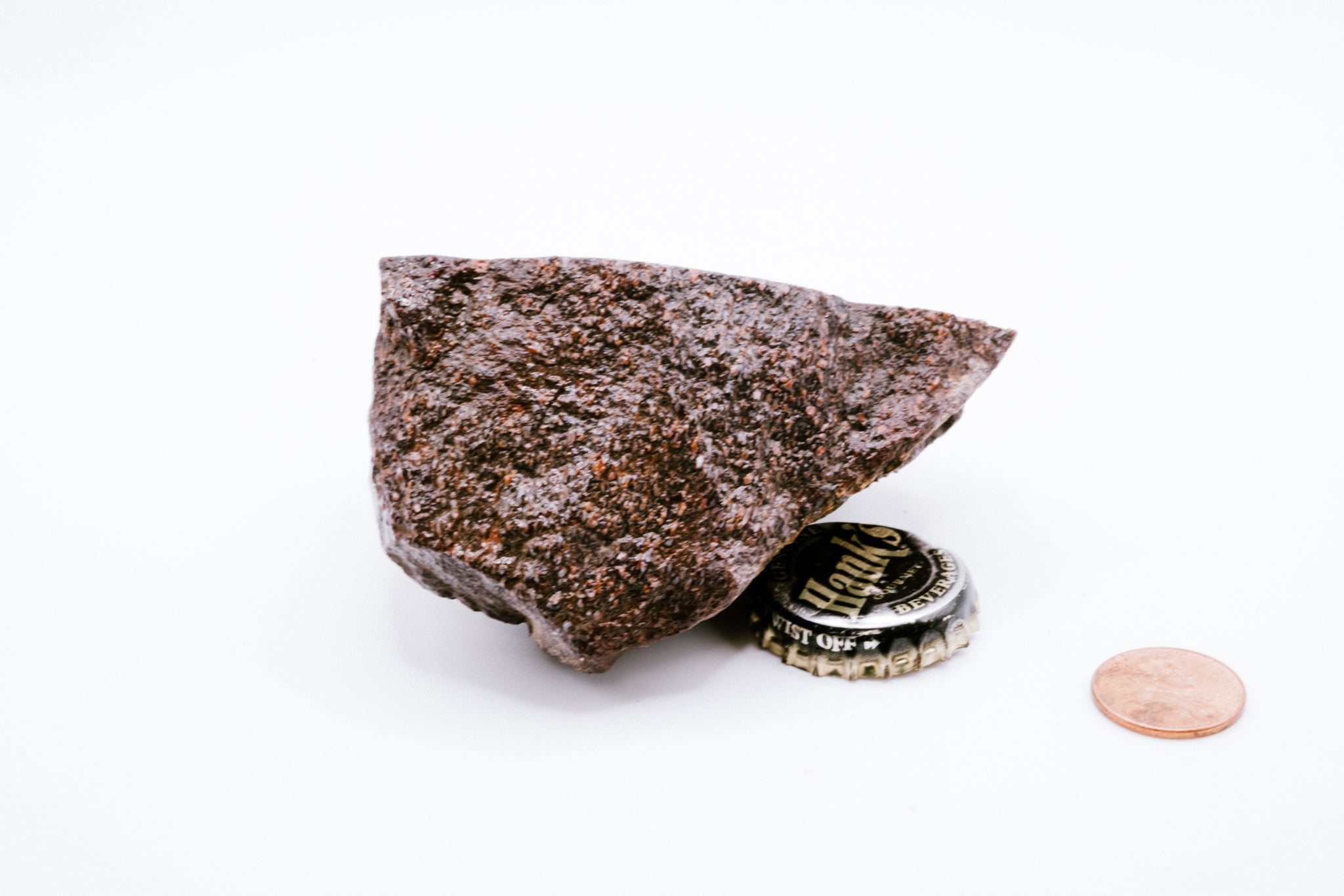 Pink, Blue & Red Dinosaur Bone (238g)