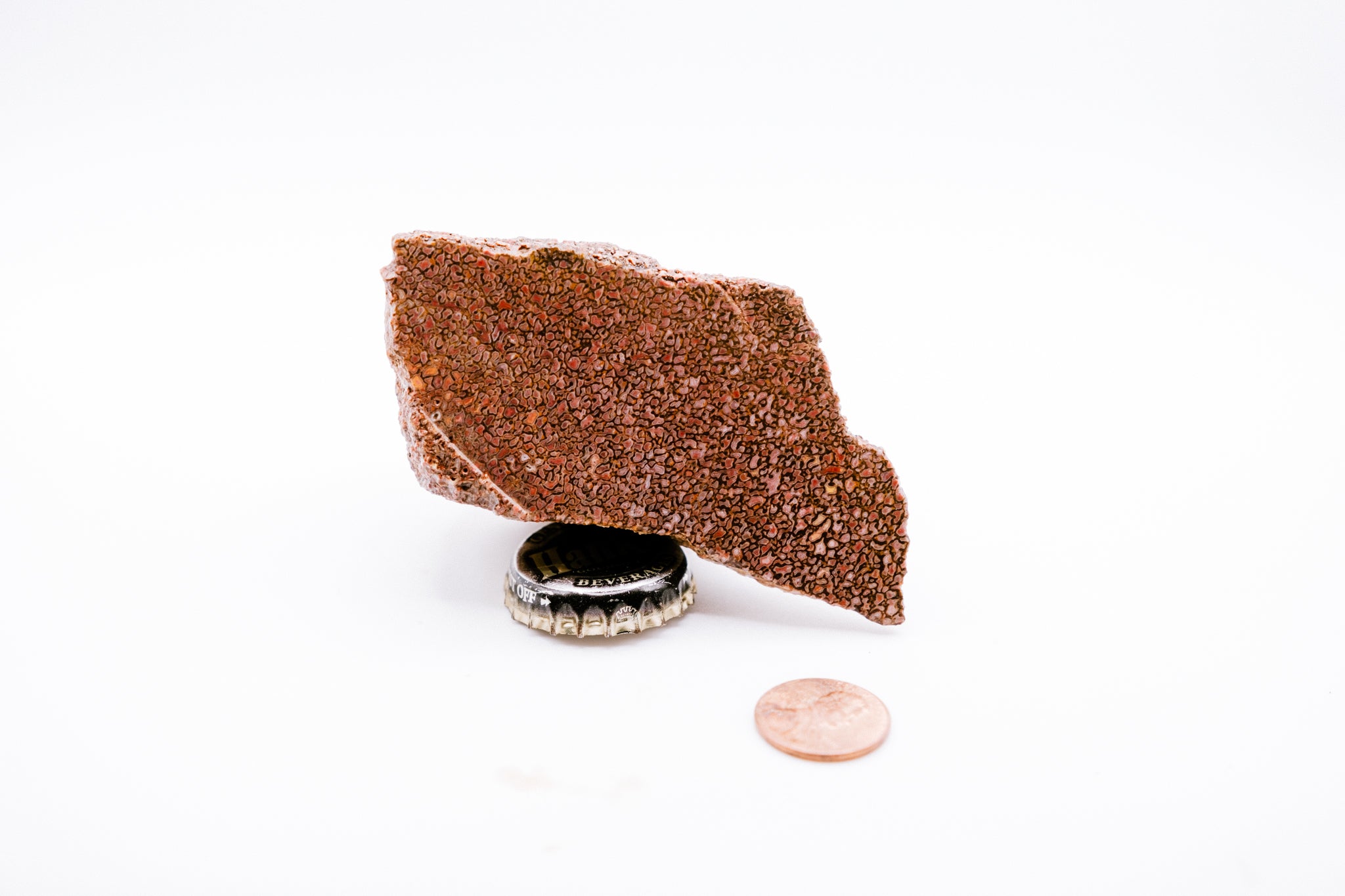 Red & Pink Dinosaur Bone (140g)