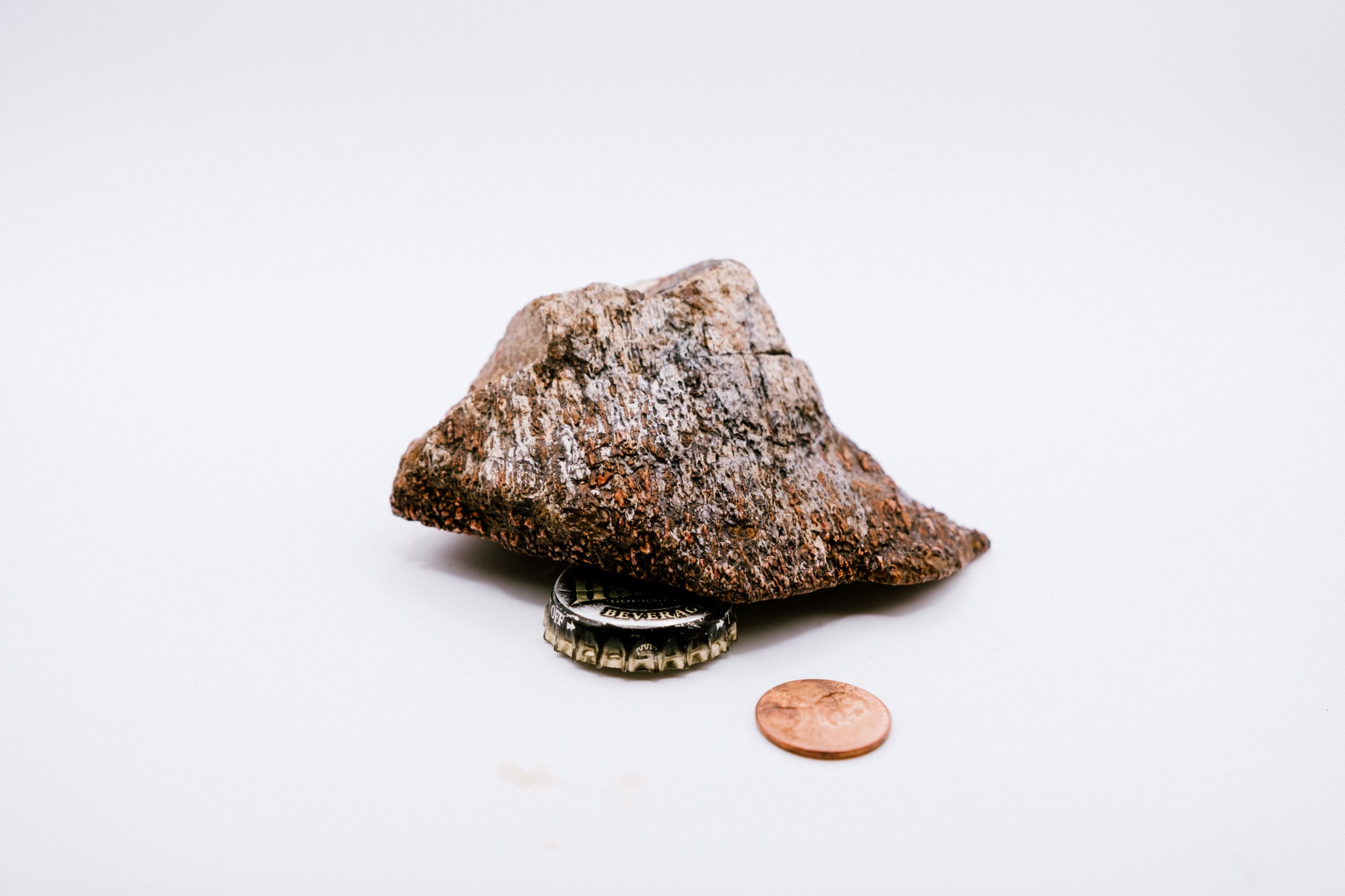 Red & Pink Dinosaur Bone (140g)