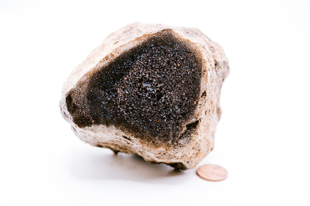 Blue Dinosaur Bone (633g)