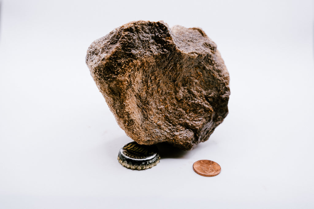 Blue Dinosaur Bone (633g)