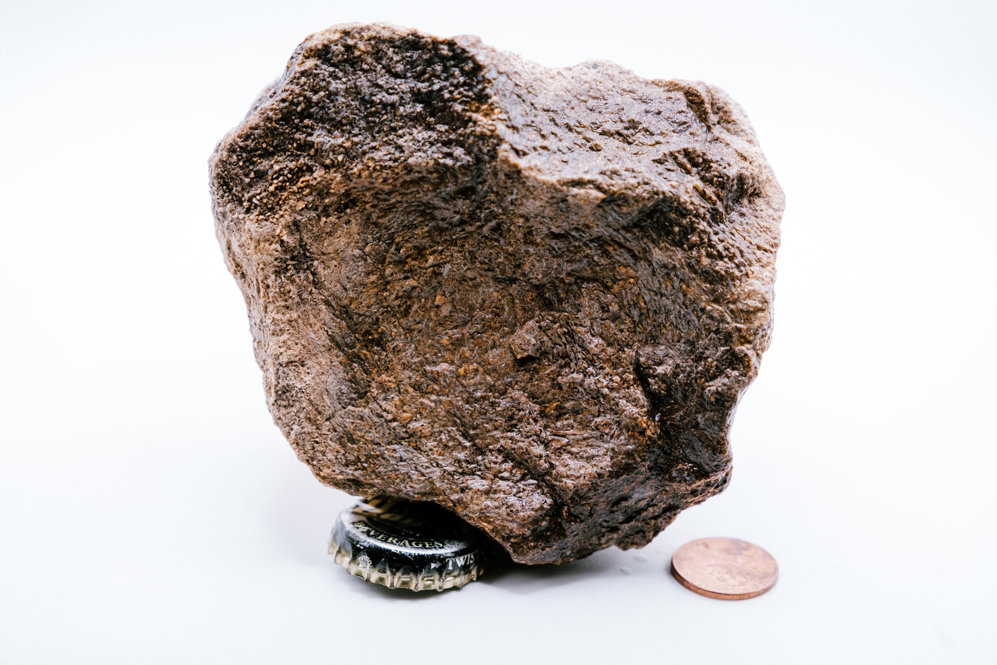 Blue Dinosaur Bone (633g)