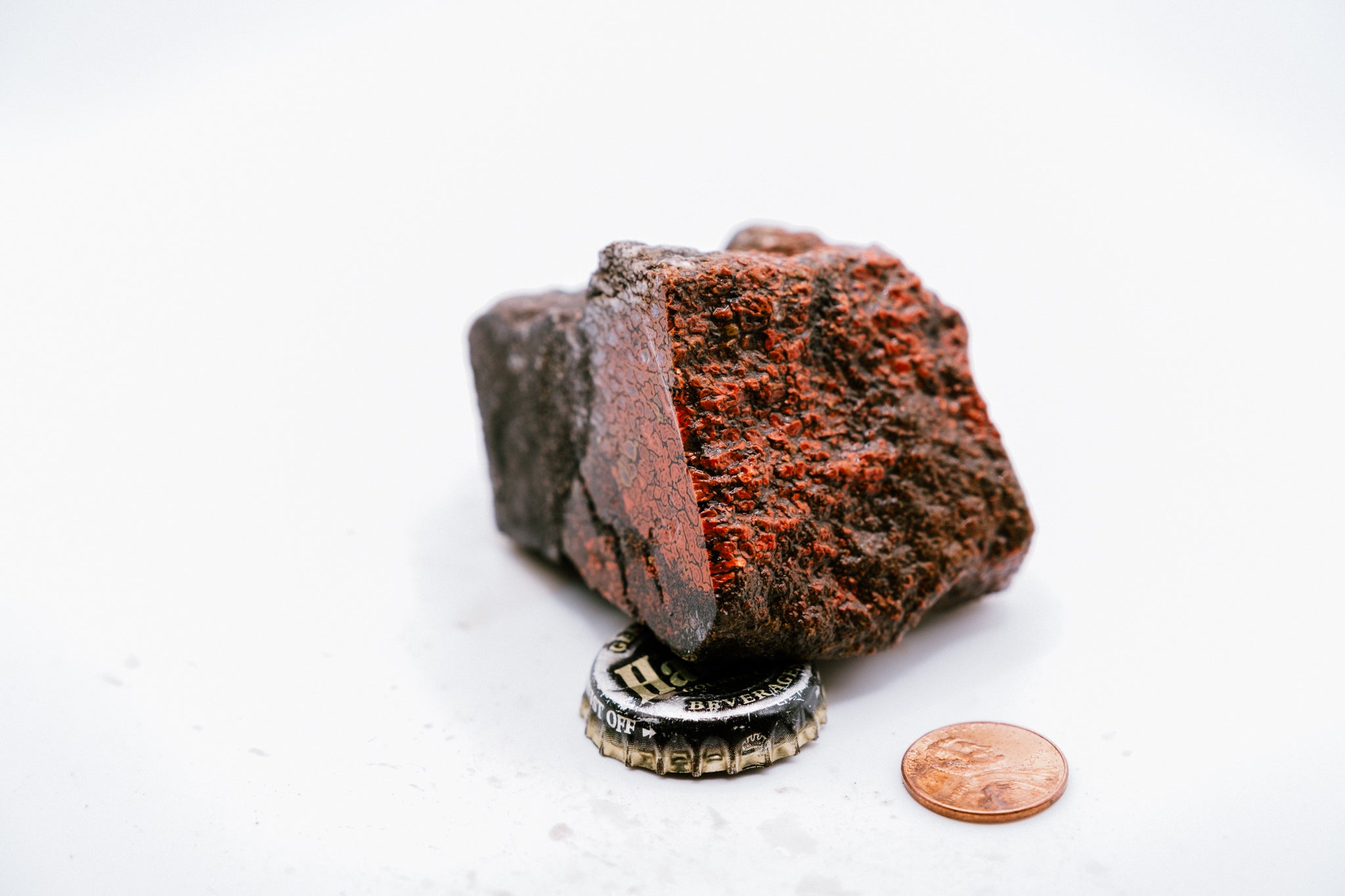 Red & White Dinosaur Bone (211g)