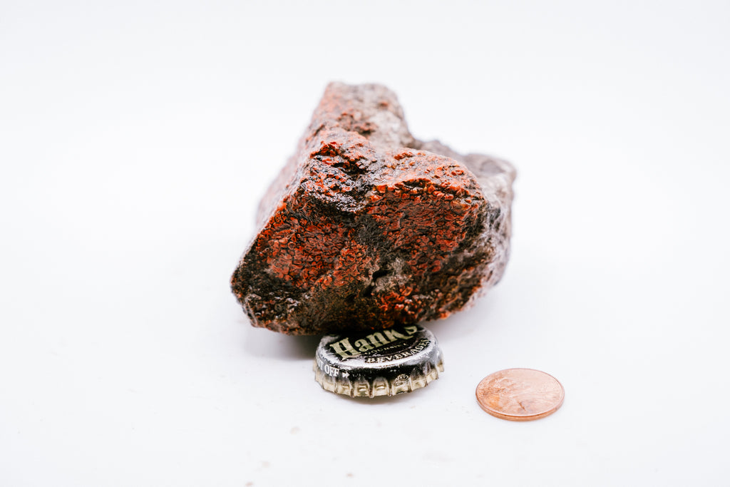 Red & White Dinosaur Bone (211g)