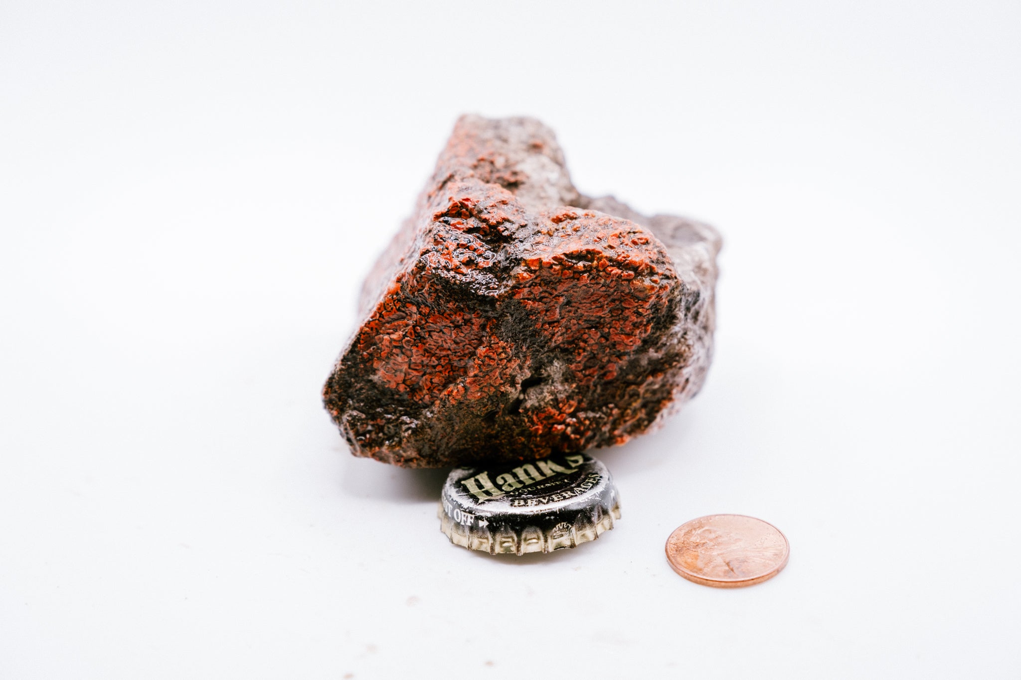 Red & White Dinosaur Bone (211g)