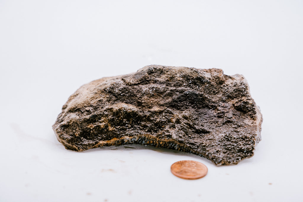 Yellow, Blue & White Dinosaur Bone (190g)