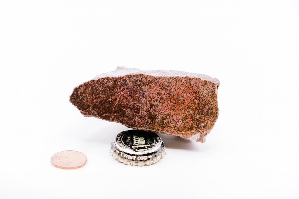 Red & Pink Dinosaur Bone (127g)