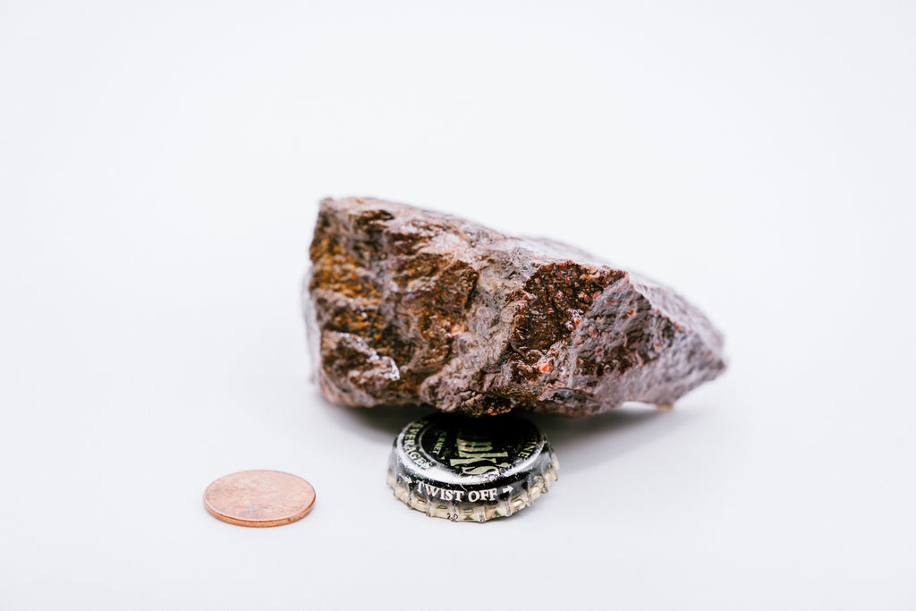 Red & Pink Dinosaur Bone (127g)