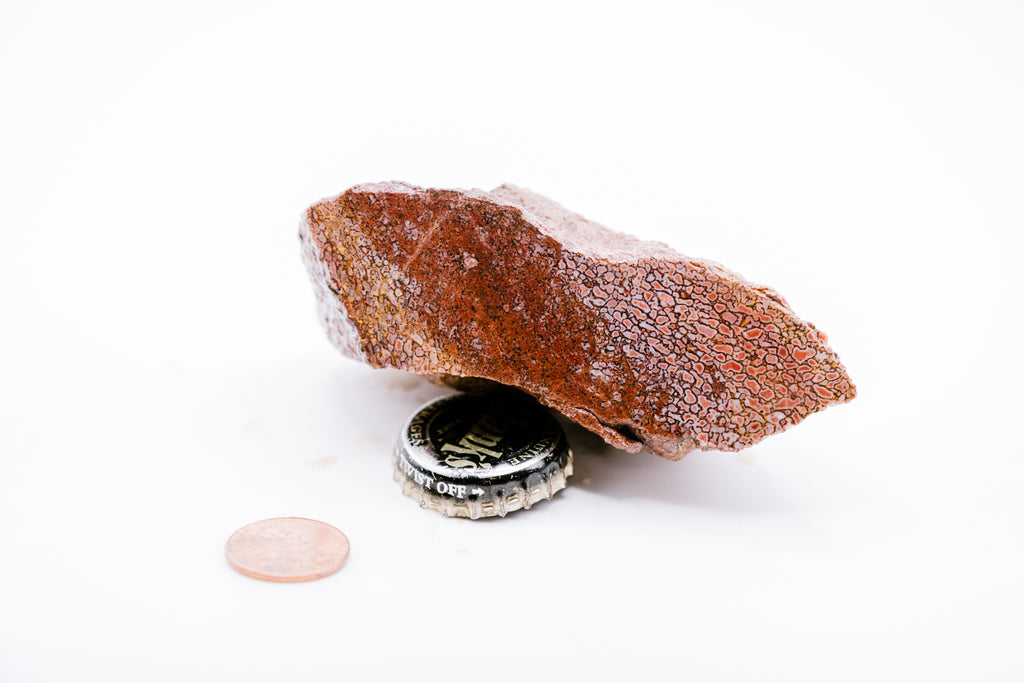 Blue, Red & Purple Dinosaur Bone (144g)