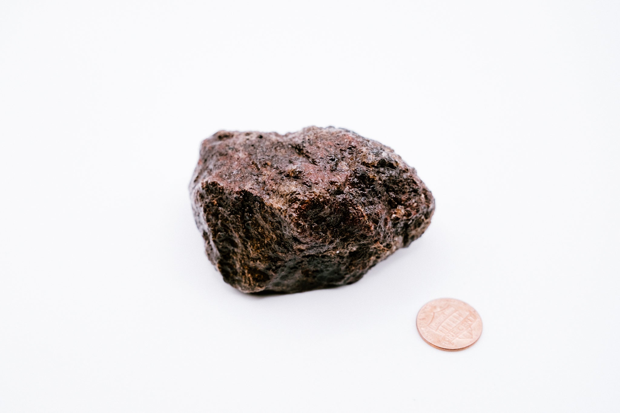 Red & Yellow Dinosaur Bone (175g)